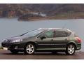 Baguette chrom&eacute;e de contour des vitres lat&eacute;rales pour Peugeot 407 SW