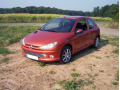 Baguette de calandre chrom&eacute;e compatible avec Peugeot 206 Peugeot 206 CC Peugeot 206 SW