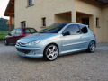 Baguette de calandre chrom&eacute;e compatible avec Peugeot 206 Peugeot 206 CC Peugeot 206 SW