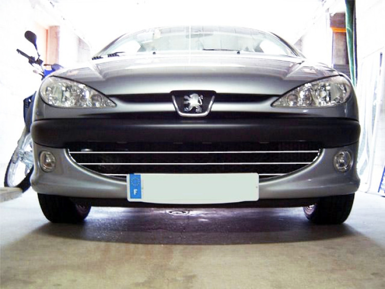Baguette de calandre chrom&eacute;e pour Peugeot 206 Peugeot 206 CC Peugeot 206 SW nid d'abeille