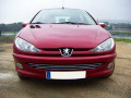 Baguette de calandre chrom&eacute;e pour Peugeot 206 Peugeot 206 CC Peugeot 206 SW