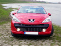 Baguette de calandre chrom&eacute;e pour Peugeot 207 06-12 Peugeot 207 CC 07-15 Peugeot 207 SW 07-13
