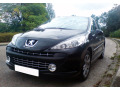 Baguette de calandre chrom&eacute;e pour Peugeot 207 06-12 Peugeot 207 CC 07-15 Peugeot 207 SW 07-13