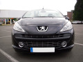 Baguette de calandre chrom&eacute;e pour Peugeot 207 06-12 Peugeot 207 CC 07-15 Peugeot 207 SW 07-13