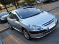 Baguette de calandre chrom&eacute;e pour Peugeot 307 01-05 Peugeot 307 CC 01-05 Peugeot 307 SW 01-05