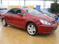 Baguette de calandre chrom&eacute;e pour Peugeot 307 01-05 Peugeot 307 CC 01-05 Peugeot 307 SW 01-05