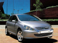 Baguette de calandre chrom&eacute;e pour Peugeot 307 01-05 Peugeot 307 CC 01-05 Peugeot 307 SW 01-05