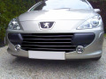 Baguette de calandre chrom&eacute;e pour Peugeot 307 05-09 Peugeot 307 CC 05-09 Peugeot 307 SW 05-09