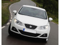 Baguette de calandre chrom&eacute;e pour Seat Ibiza 08-17 & Seat Ibiza ST